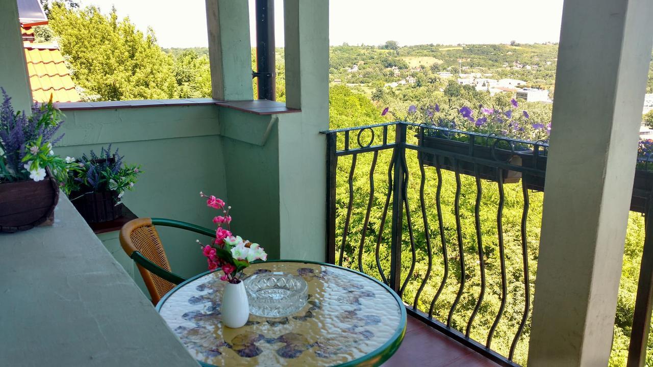 Zielone Wzgorze Na Starowce Apartment ซานดอเมียร์ช ภายนอก รูปภาพ